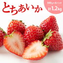 【ふるさと納税】とちあいか（300g×4パック 計1.2kg）風袋入り ｜ 手作り 厳選 農家 特産品 新鮮 フレッシュ ストロベリー 苺 イチゴ 栃木県 塩谷町 ※2024年12月上旬～2025年4月下旬頃に順次発送予定 ※北海道・沖縄・離島への配送不可