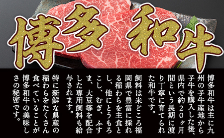 牛肉 モモ ステーキ A4～A5 博多和牛 100g 5p 牛肉