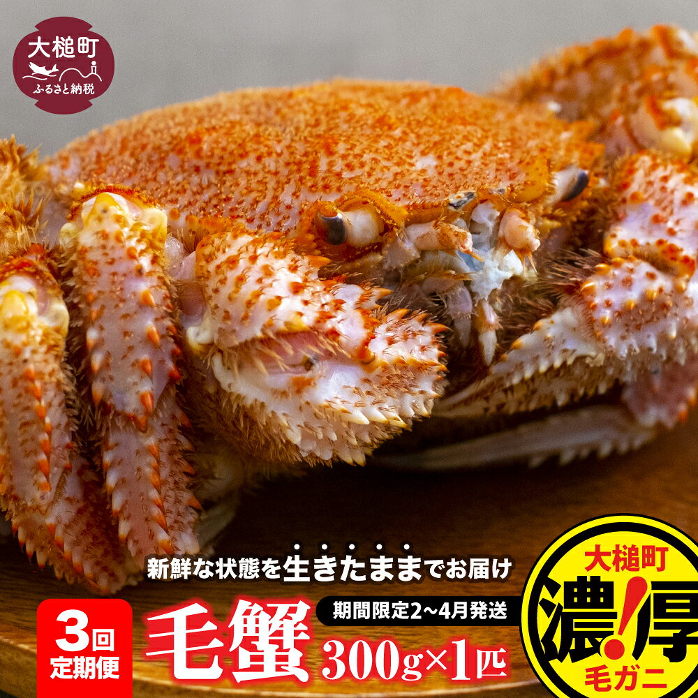 【ふるさと納税】【令和9年発送】【3回定期便】活毛ガニ セット (300g×1〜2杯) (400g×1〜2杯) (500g×1杯) ≪2027年2月〜4月発送≫ 期間限定 冷蔵 三陸産 海産物 蟹 活 毛ガニ 毛がに 蟹 カニ ジャンボ 魚介 かにみそ 毛カニ 活ガニ 活蟹 毛蟹 先行予約 濃厚 毛がに