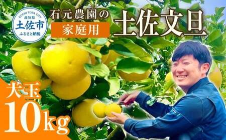 【先行予約】石元農園の土佐文旦 家庭用 大玉（3L?4Lサイズ）約10kg 高知県土佐市 【石元農園】 [BQBH004]