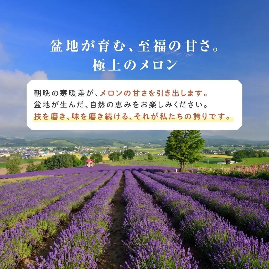 富良野メロン 赤肉 大玉 相馬農園 富良野メロン【1玉 約2kg】