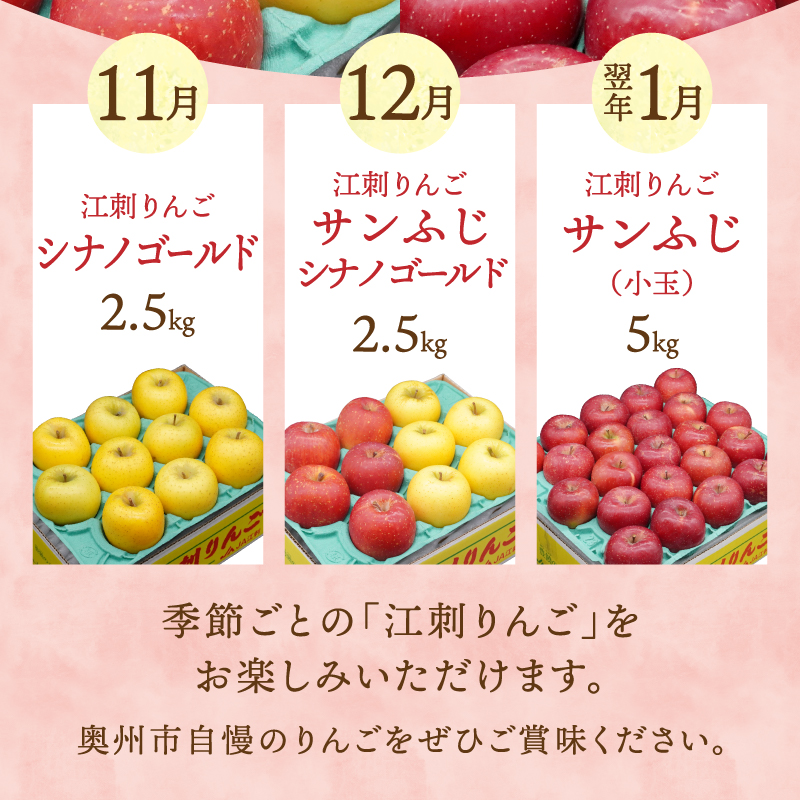 数量限定 奥州市のりんご定期便・3回(11月~翌年1月) 江刺りんごの食べ比べコース [AQ036]
