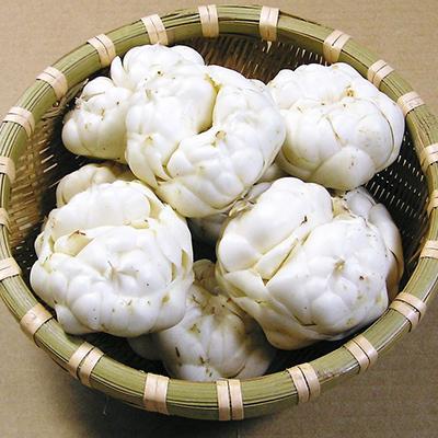 ふるさと納税 名寄市 【令和7年発送】北海道名寄産　ゆり根　Lサイズ18個入り |  | 01