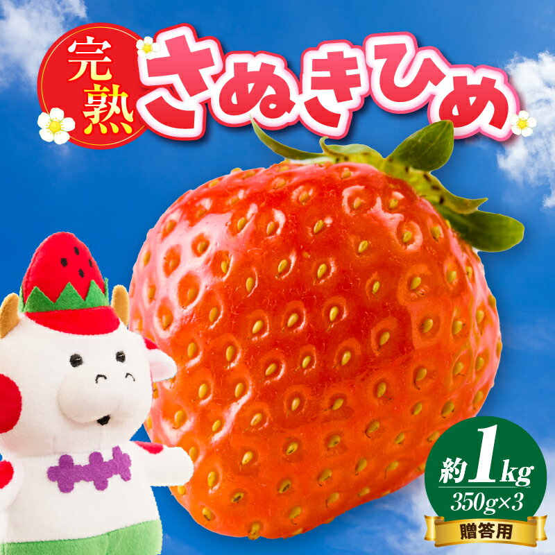 【ふるさと納税】【先行予約】贈答用　完熟さぬき姫　約1.0kg いちご 果物 フルーツ デザート 果実 さぬきひめ 旬の果物 旬 完熟 甘い いちごジャム 完熟いちご 完熟フルーツ おすすめ 人気 贈答 贈り物 化粧箱 ご褒美 ストロベリー 香川県 三木町 送料無料