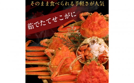 【11月中旬以降発送】訳あり 浜茹でせいこ蟹×5枚（750g前後）【鳥取県 境港市】