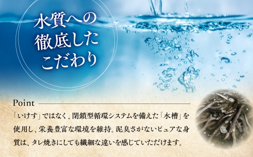 鰻 美陵鰻の白焼 4尾 / 美陵鰻 鰻 うなぎ ウナギ 白焼き 白焼 肉厚 うな重 うな丼 惣菜 おかず タレ 山椒 国産 スタミナ 土用 丑の日 土用の丑の日 ギフト 人気 蒲焼 蒲焼き かば焼き 