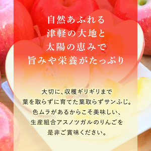 りんごサンふじ蜜入り葉とらず 青森県産 りんご【約5kg】【12・1月発送】