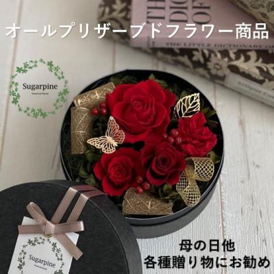 ふるさと納税 春日部市 プリザーブドフラワーアレンジ【アムール/レッド】春日部市 シュガーパイン