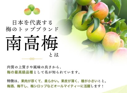 訳あり 梅 梅酒 梅干 青梅 梅ジュース 梅干し 三重県産 / M-3Lのサイズおまかせ！ 訳あり ご家庭用 南高梅 青梅 5kg【2025年6月初旬から6月中旬までに順次発送】【ymu002】