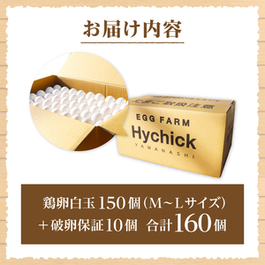 ハイチックのたまご　160個（破卵保証10個含む）