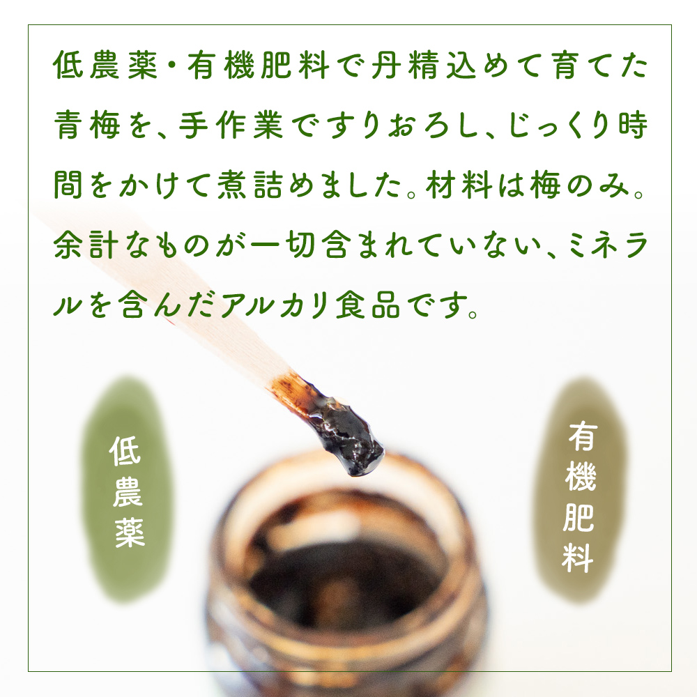 梅肉エキス 氷見稲積梅100% 1個 富山県 氷見市 国産 うめ 青