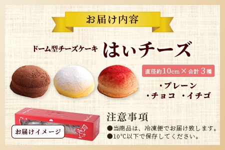 ふわしゅわ食感♪ドーム型スフレケーキ「はいチーズ」3種セット（プレーン・チョコ・いちご）｜お子様に人気 お祝い 誕生日 ギフト 贈答用 イベントスイーツ 佐賀県 鹿島市 送料無料 B-308 B-30