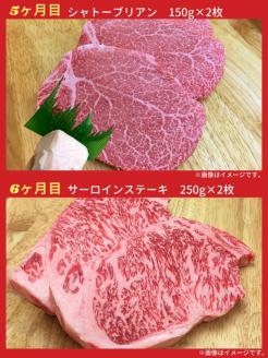 【6回定期便】亀岡牛 6ヶ月 お楽しみセット【計2.8kg】＜亀岡牛専門 木曽精肉店＞ ☆祝！亀岡牛 2021年最優秀賞（農林水産大臣賞）受賞※冷凍（冷蔵も指定可）