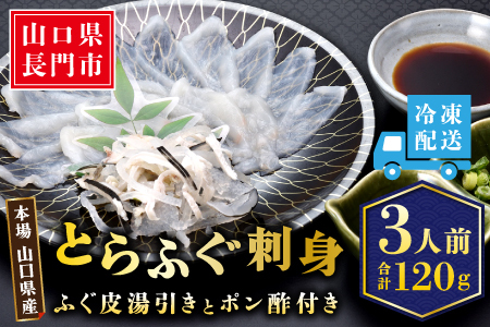【配送日指定可】 とらふぐ刺身1人前×3皿 冷凍 小分け ふぐ皮湯引き トラフグ フグ 最高級とらふぐ 父の日 母の日 イベント お中元 お歳暮 贈答用 ギフト 熨斗 のし 大人気 山口県 本場トラフグ 職人 板前 とらふぐ専門店  (10103) 