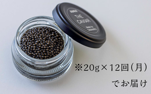 『定期便』:12ヶ月　THE・CAVIAR(ザ・キャビア)20g　 TF0495