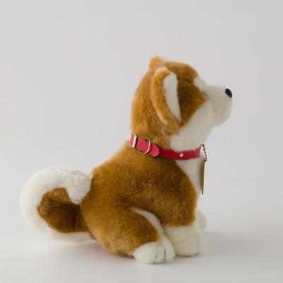ふるさと納税 大館市 秋田犬マサルぬいぐるみ　座りMサイズ |  | 02