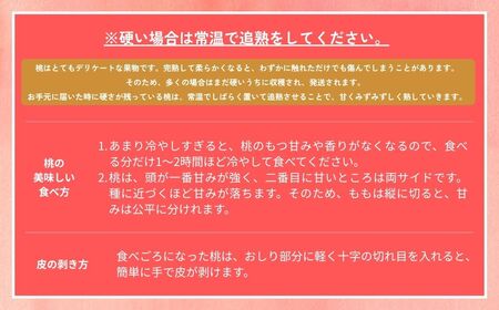 【2025年先行予約】［なんばふぁーむ］岡山県産 黄金桃 4.0kg（11～14玉）［ご家庭用］