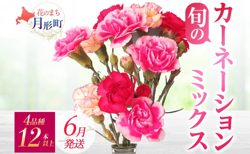 ＜6月配送＞ 北海道 カーネーション ミックス 4品種 12本以上 切り花 切花 花束 ブーケ 季節 旬 生花 フラワー アレンジメント 記念日 産地直送 つきがたふるさと花の会