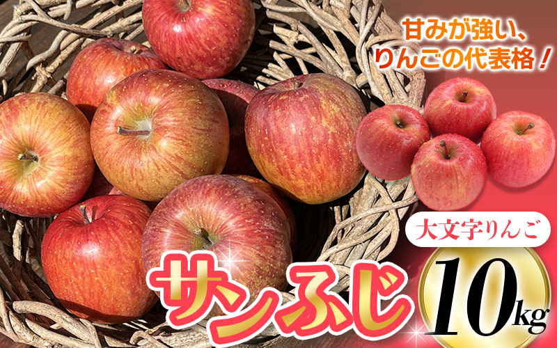 ≪無くなり次第終了≫【1月下旬～順次発送】大文字りんご園 サンふじ 小玉サイズ 約10kg (36～40玉) / 樹上完熟 りんご リンゴ 林檎 果物 くだもの フルーツ 甘い 旬 産地直送 予約 先行予約 りんご リンゴ りんご リンゴ りんご リンゴ りんご リンゴ りんご リンゴ りんご リンゴ りんご リンゴ りんご 【dma513-sf-10】