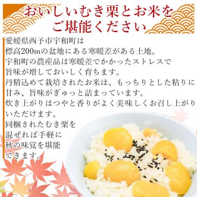 ふるさと納税 西予市 愛媛県西予市産　栗ご飯セット(むき栗150g×3個・コシヒカリ2kg) |  | 02