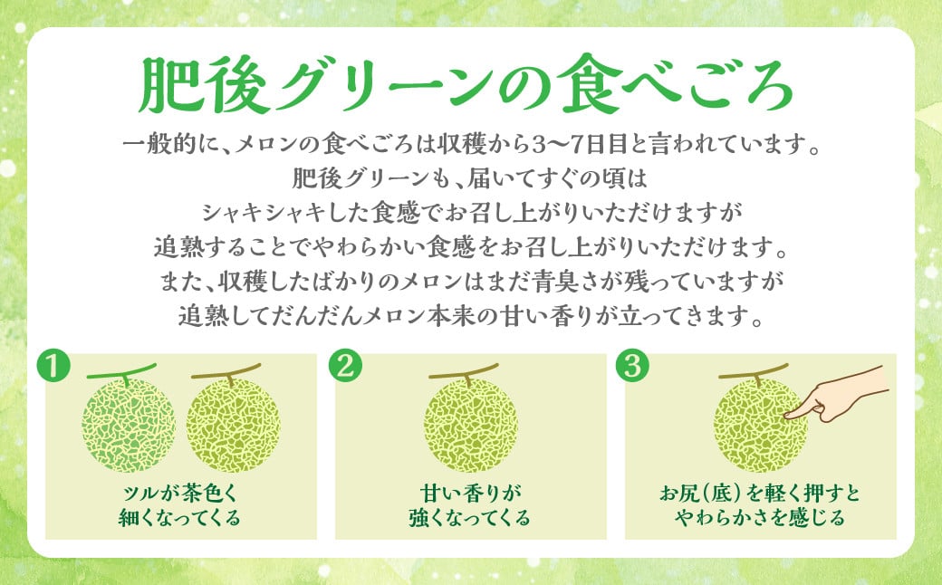 肥後グリーンの食べごろ：一般的には収穫から3～7日目と言われています。