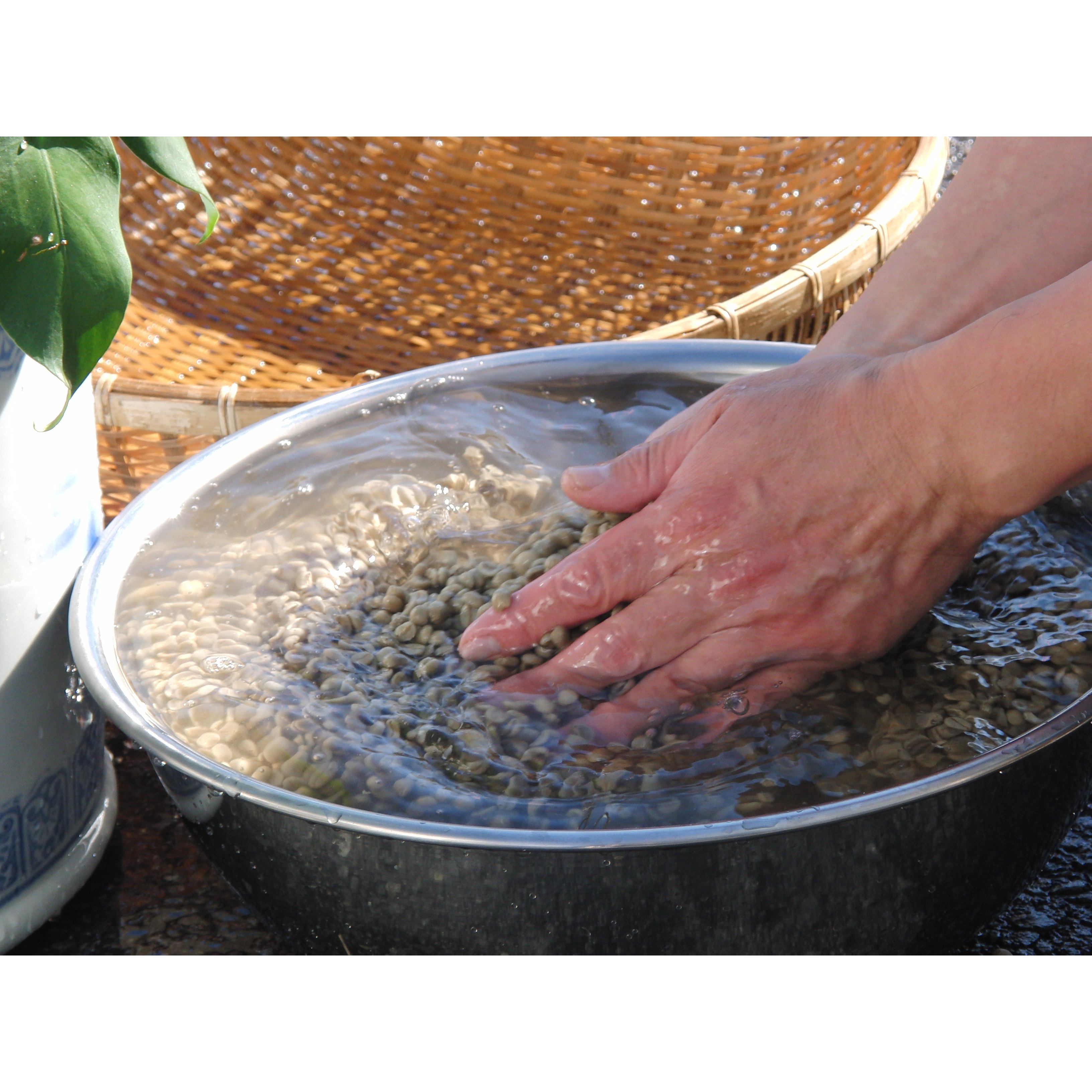 メール便発送【訳あり】フェアトレード ブレンドコーヒー 富士山の湧き水で磨いた スペシャルティコーヒー ドリップ 12g×16袋