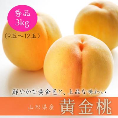 ふるさと納税 中山町 【発送月固定定期便】中山町の至高・極上フルーツ定期便　全3回