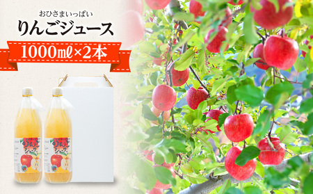 リンゴジュース 1000ml×2本 リンゴジュース