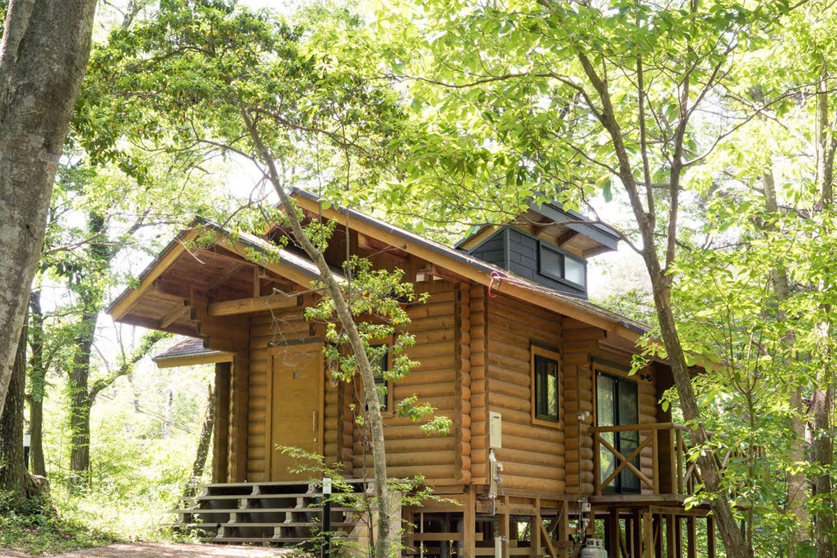 
            弥栄町の星空と木の香りに包まれる一泊二日（2食付き）【1組4名】宿泊 券 旅行 体験 自然 トラベル 【201_0001】
          