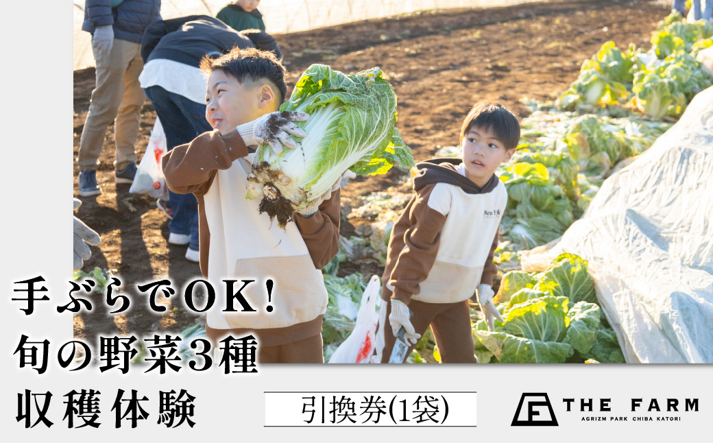 
            手ぶらでOK!THE FARMの旬の野菜収穫体験引換券(1袋) KTRC010
          