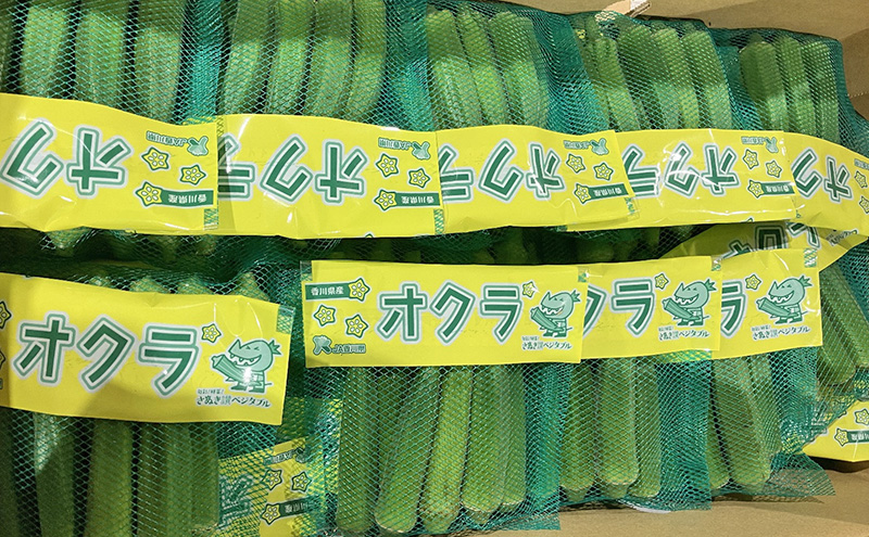 オクラ 約2.1kg 野菜