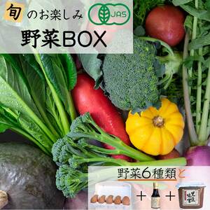 有機JAS認定 野菜・卵お楽しみセット 矢田の里 野菜 生野菜 旬野菜 京野菜 野菜