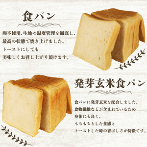 食パン 詰め合わせ 5種セット 冷凍 パンパンパンパン