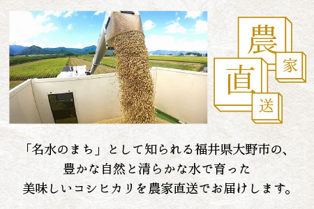 【令和5年産】福井県大野市産 コシヒカリ 無洗米 3合×10パック（4.5kg）小分け アウトドアにもおすすめ 農家直送  [A-013003]