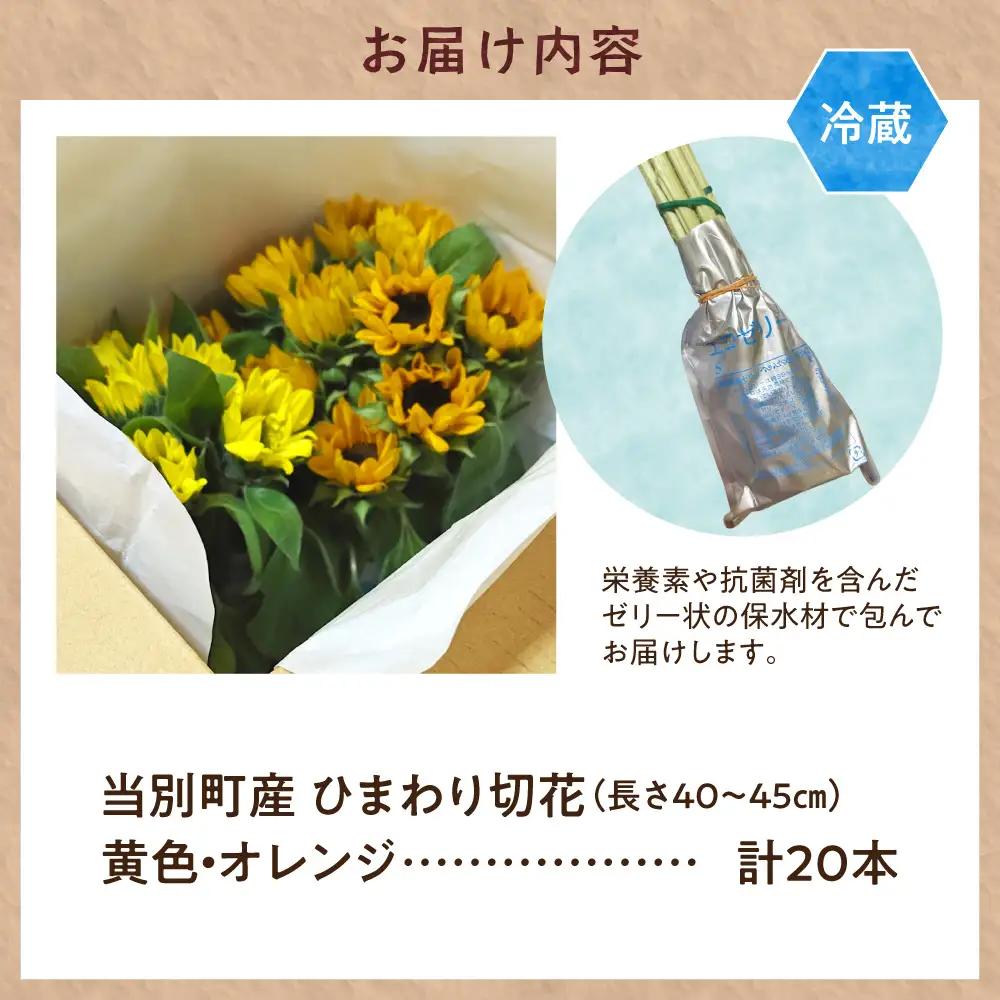 ひまわり 切花 20本 黄色 オレンジ 四季農場《6月上旬-9月下頃出荷》北海道 当別町 切り花 冷蔵便 北海道産 当別町産
