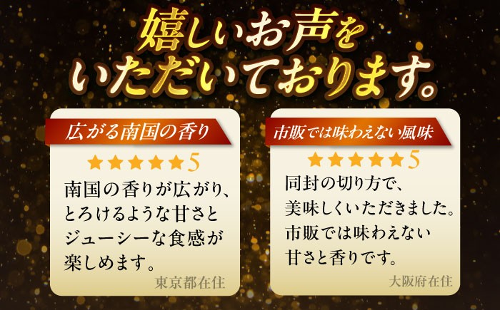 【先行予約 2026年発送 予約受付】【贈答用】仲村農園の完熟アップルマンゴー1kg マンゴー 沖縄 マンゴー 先行予約 