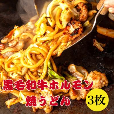 ふるさと納税 吹田市 黒毛和牛ホルモン 焼うどん 3枚