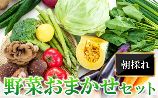 A-198 朝採れ地元  野菜おまかせセット