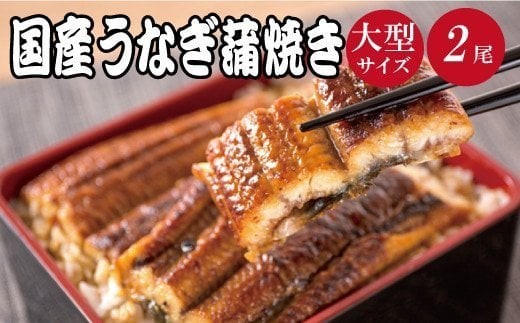 【大型サイズ】ふっくら柔らか 国産うなぎ蒲焼き 2尾/うなぎ ウナギ 鰻 うなぎ蒲焼 国産【uot302A-3】