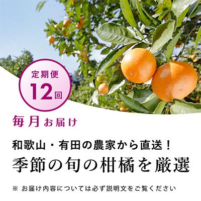 ふるさと納税 日高町 【発送月固定定期便】季節の柑橘定期便A【フルーツ定期便】【和歌山県有田】全12回 |  | 01