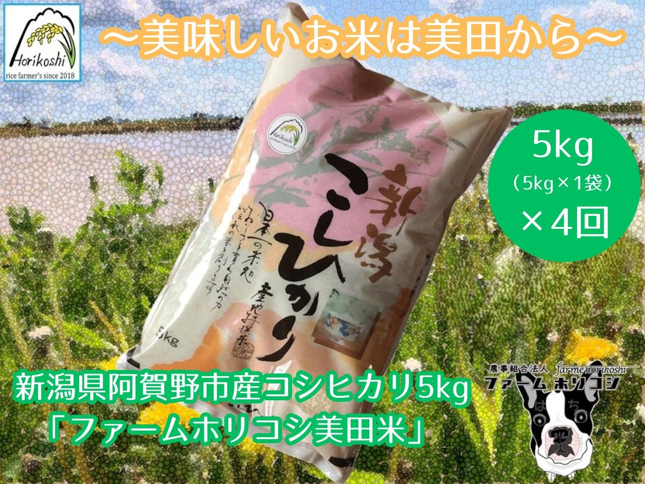 
            【令和7年産新米】【4ヶ月定期便】阿賀野市産 コシヒカリ 「ファームホリコシ美田米」 5kg×4回  白米 精米 3H06053
          