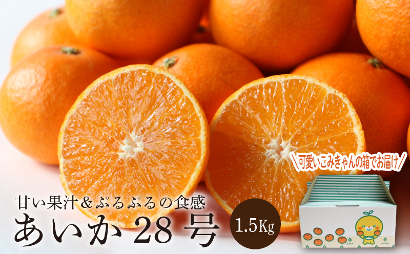 【先行予約】【2024年11月下旬頃から発送】 みかん あいか28号 1.5kg（5～8玉） 愛媛 みかん あいか あいか28号 愛果 愛果28号 紅マドンナ 紅まどんな と同品種 蜜柑 柑橘 果物 贈答 愛媛のみかん くだもの フルーツ 愛媛県 松山市