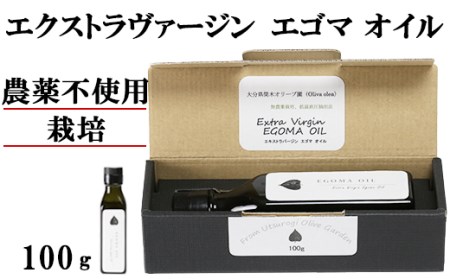 エゴマオイル(EGOMA OIL) 100g 無農薬栽培 低温直圧搾油法 大分県産＜143-005_5＞