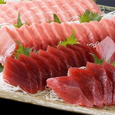 ふるさと納税 焼津市 天然南まぐろ中トロ付きセット3(a50-095)