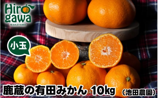 鹿蔵の 有田みかん 家庭用 わけあり 10kg+250g(痛み補償) 小さな (S以下) 先行予約 光センサー選果　※北海道・沖縄・離島への配送不可/ 温州みかん 痛み補償 果物 フルーツ くだもの 訳アリみかん 訳あり フルーツ 柑橘 蜜柑 mikan 産地直送 数量限定 国産 和歌山【ikd004-cs-10-nov】