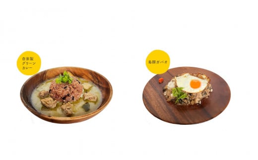 
自家製グリーンカレー＆島豚ガパオセット - カレー グリーンカレー 島豚 ガパオ タイ料理 キャンプ
