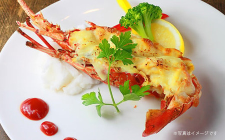 お得な 訳あり！ 刺身 でもうまい！活〆 冷凍 伊勢海老 大満足 の約1kg（2～5尾）えび エビ いせえび イセエビ 高級 鮮魚 海鮮 産地直送 魚介 刺身 焼き物 汁物 ギフト 贈答 贈り物 祝い