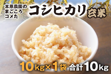 【令和7年産・新米】【玄米10kg×1袋】福井県産 コシヒカリ10kg ～本原農園からまごころコメて～ 【お米 こしひかり 白米 玄米 10キロ 選べる 精米 ブランド米 ごはん ご飯 おいしい ふる