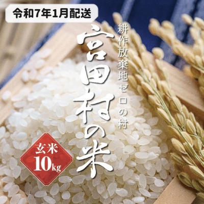 【先行受付】【令和6年米】減農薬栽培(栽培期間中)コシヒカリ/玄米/10kg/令和7年1月配送