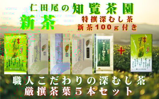 129-03-1 【知覧茶新茶祭り】【期間限定･増量】知覧茶園深むし茶 厳撰茶葉5本セット 特撰深むし茶100g付